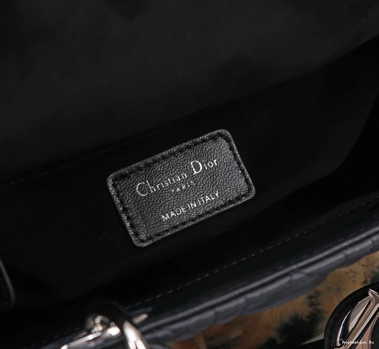 Lady Dior Christian Stylish Bags My 75936 0626